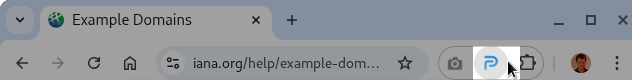 Pemarks extension icon pinned in the Chrome toolbar